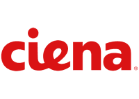 Ciena Corp posts $76.24 million annual profit