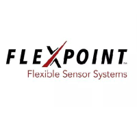 Flexpoint Sensor Systems Inc posts annual revenue of $0.1512 million in 2022