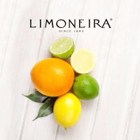 Limoneira Co posts $0 million annual profit