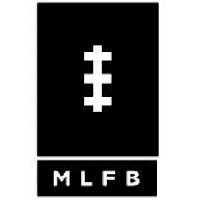 MAJOR LEAGUE FOOTBALL INC [MLFB]  posts $1.55M profit as revenue falls 94.20% to $0.0005M