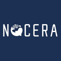 Nocera, Inc. posts annual revenue of $16.34 million in 2022