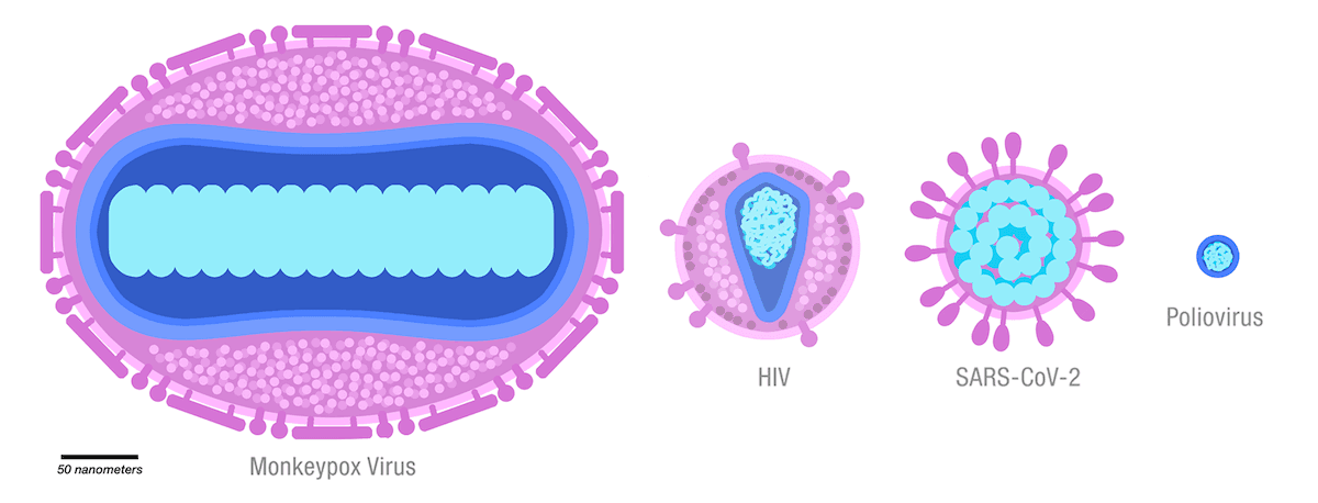 Monkeypox_viruses