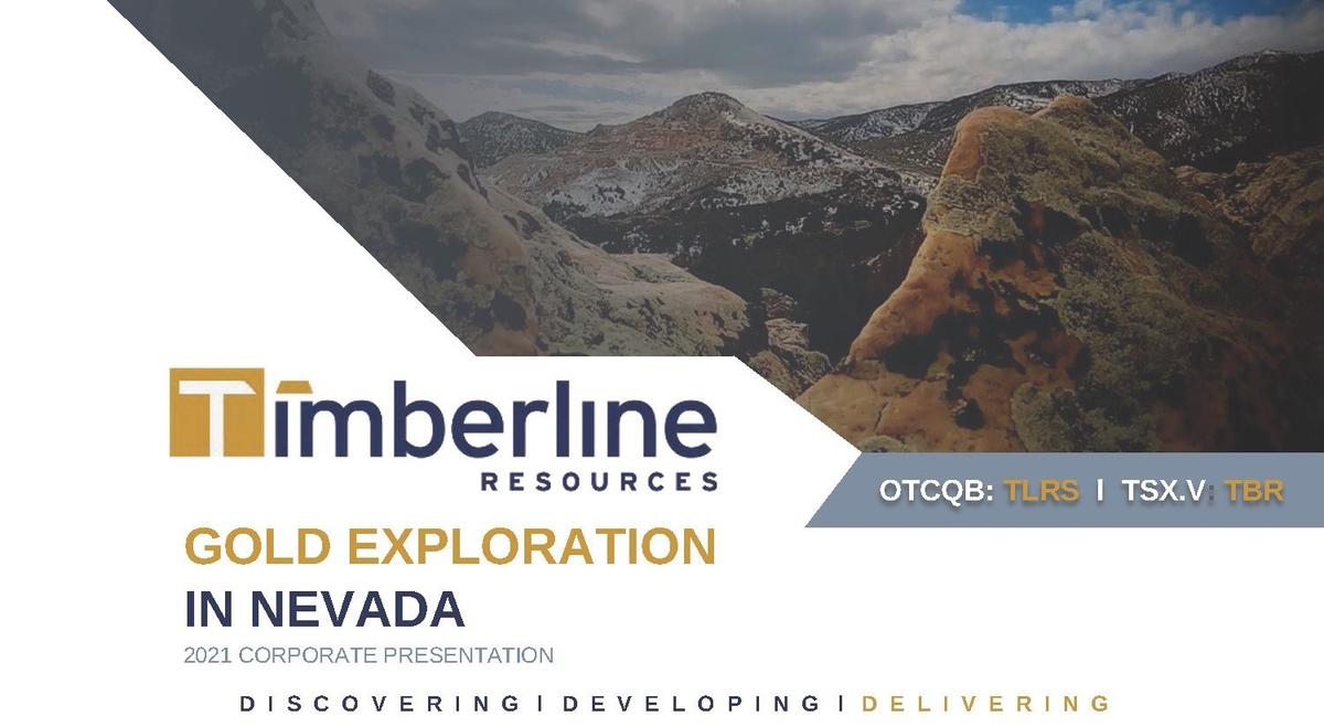 McDowell Donald James sells 9,487,000 shares of Timberline Resources Corp [TLRS]