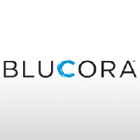 Blucora: Q4 Earnings Snapshot