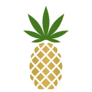 PINEAPPLE, INC. Reports Loss of $507.1 Million for the Second Quarter of 2023