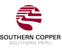 SOUTHERN COPPER CORP/ [SCCO] reports annual net loss of $2.4 billion