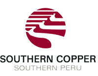 SOUTHERN COPPER CORP/ [SCCO] reports annual net loss of $2.4 billion