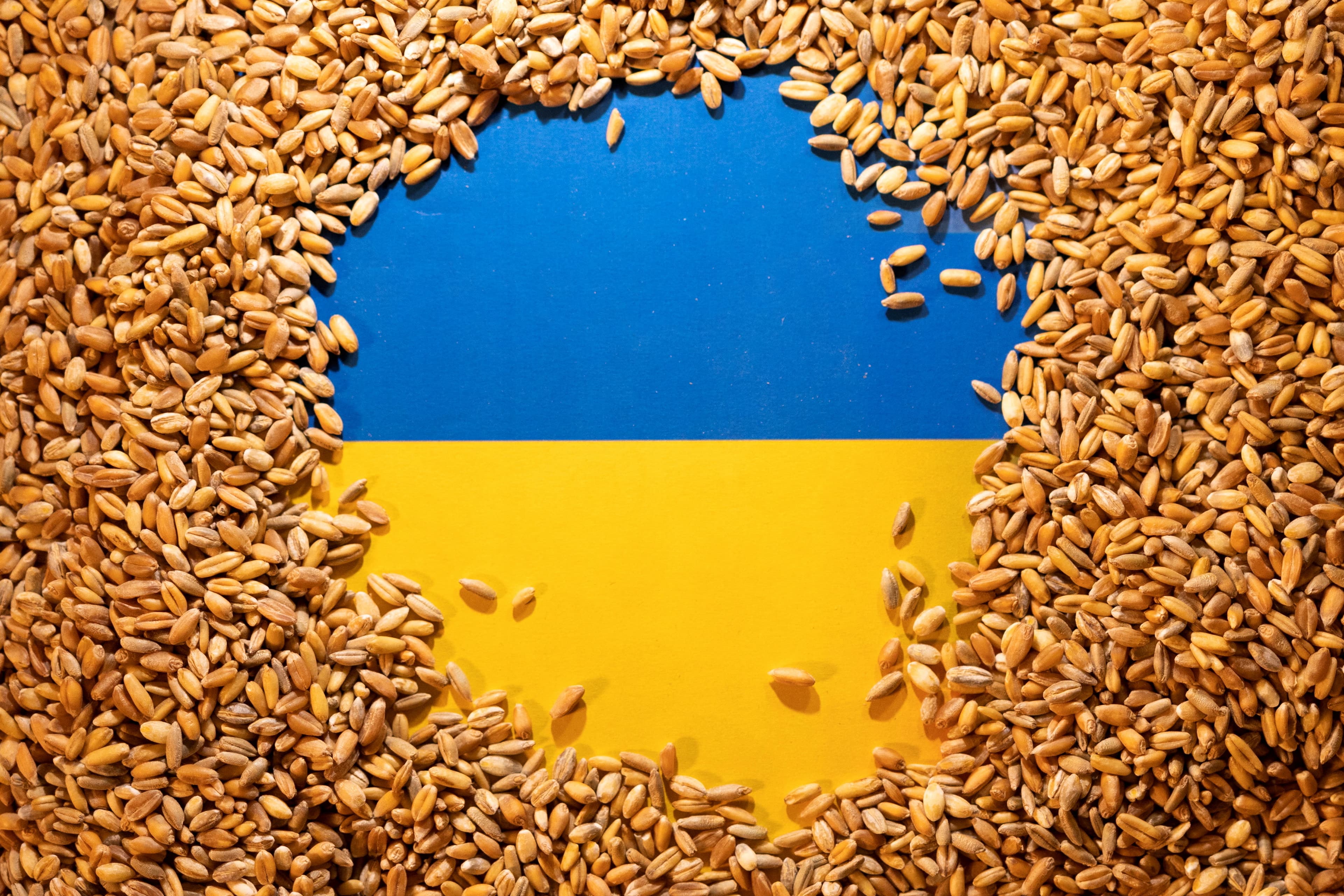 Turkey receives its first shipment from Ukraine via grain corridor