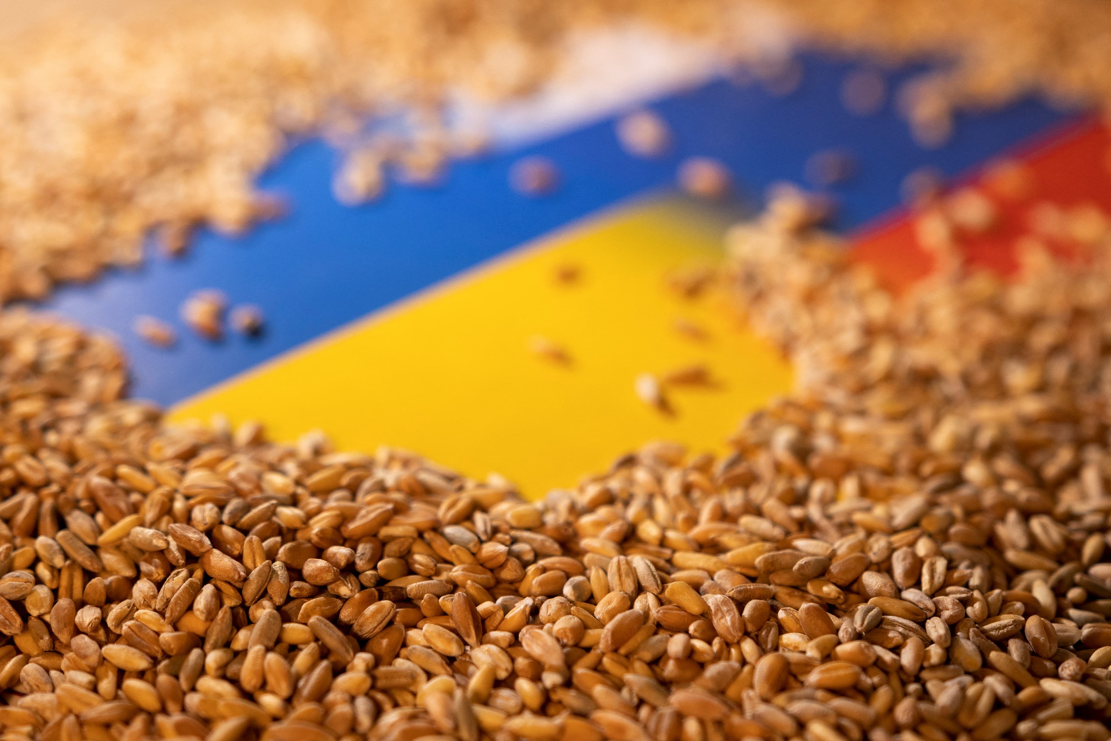 Turkey to hold negotiations with Russia, Ukraine, and UN on grain shipments