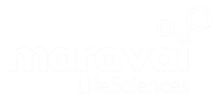 Deadline Alert: Maravai LifeSciences Holdings, Inc. (MRVI) Investors Who Lost Money Urged To ...