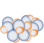 PolyPid Announces Last Patient In for Planned Unblinded Interim Analysis in the Ongoing SHIELD ...