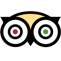 Tripadvisor's 2025 Transparency Report reveals strong review submissions and improved fraud detection