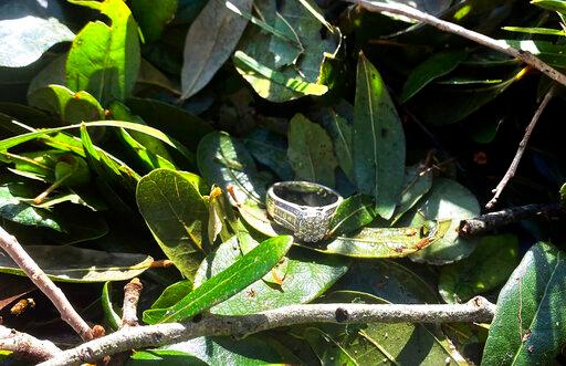 Hurricane Ian Wedding Ring