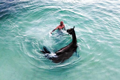 Colombia Horse Racing Island